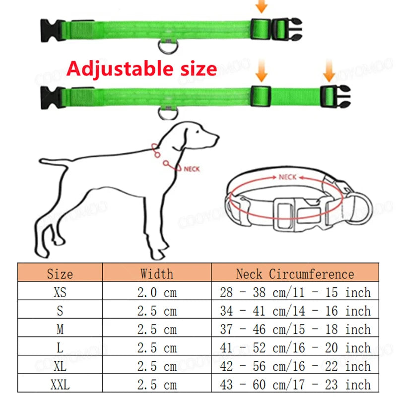 LED Glow Dog Collar | USB Rechargeable | 3 Light Modes | Night Safety