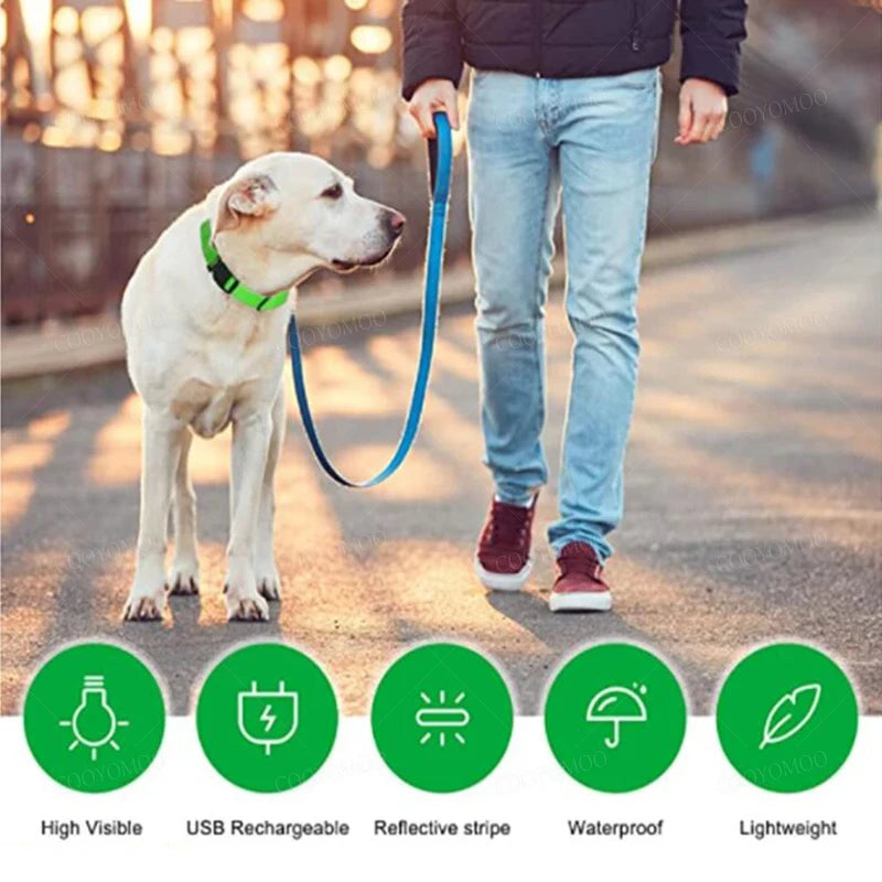 LED Glow Dog Collar | USB Rechargeable | 3 Light Modes | Night Safety