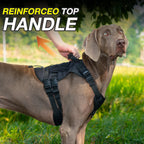 Tactical Dog Harness & Chest Strap