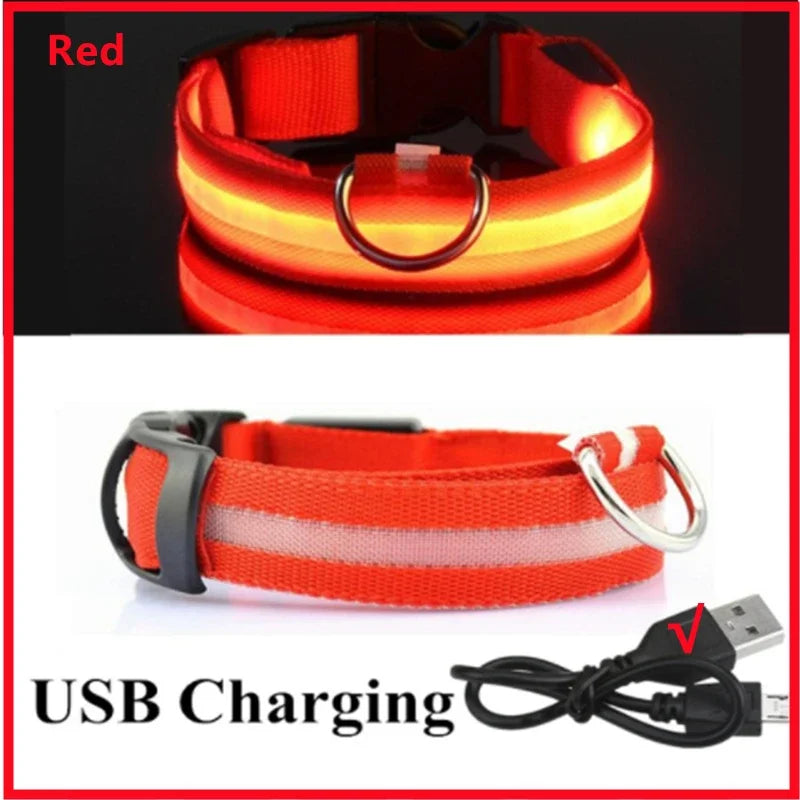 LED Glow Dog Collar | USB Rechargeable | 3 Light Modes | Night Safety
