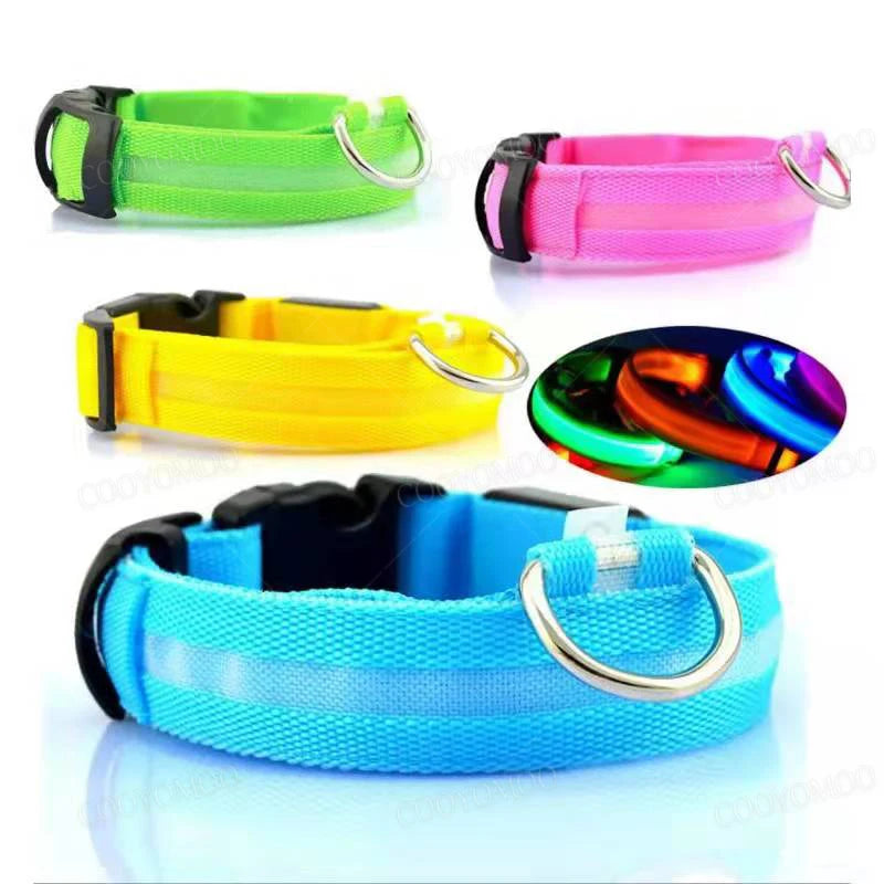 LED Glow Dog Collar | USB Rechargeable | 3 Light Modes | Night Safety