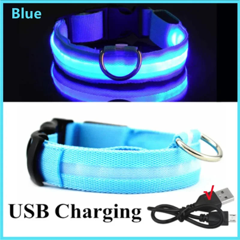 LED Glow Dog Collar | USB Rechargeable | 3 Light Modes | Night Safety