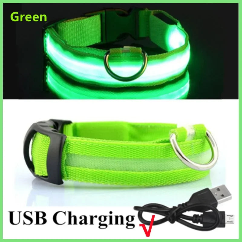 LED Glow Dog Collar | USB Rechargeable | 3 Light Modes | Night Safety