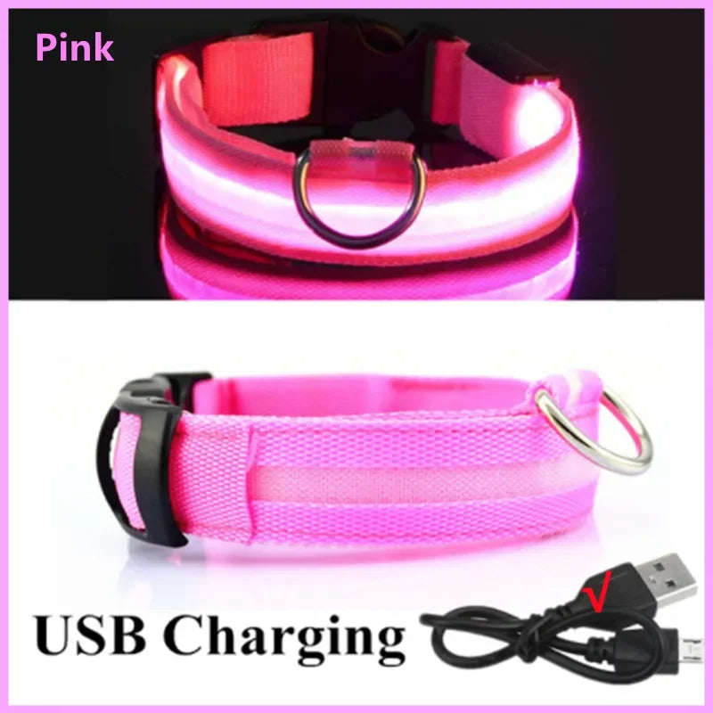 LED Glow Dog Collar | USB Rechargeable | 3 Light Modes | Night Safety