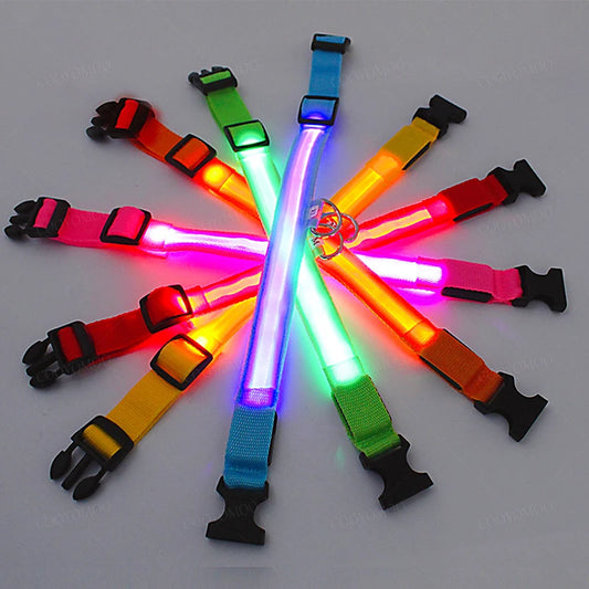 LED Glow Dog Collar | USB Rechargeable | 3 Light Modes | Night Safety