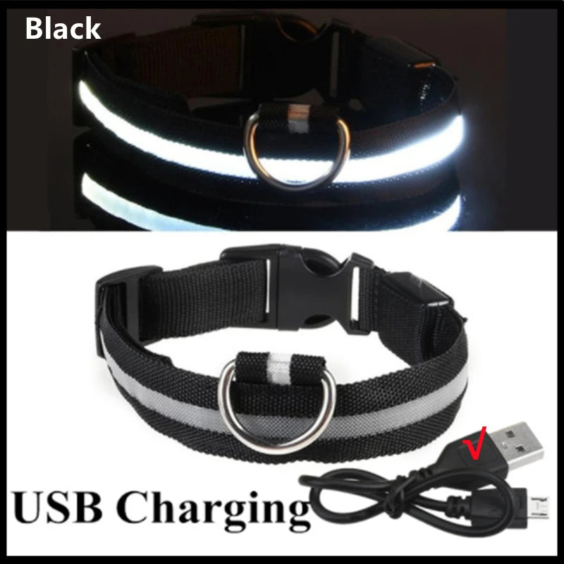 LED Glow Dog Collar | USB Rechargeable | 3 Light Modes | Night Safety