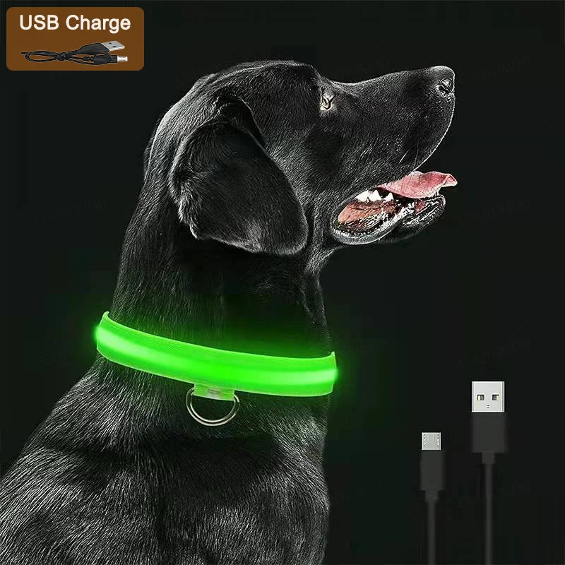 LED Glow Dog Collar | USB Rechargeable | 3 Light Modes | Night Safety